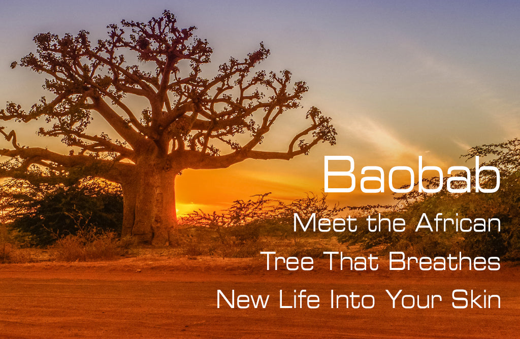 Baobab: Meet the African Tree That Breathes New Life Into Your Skin