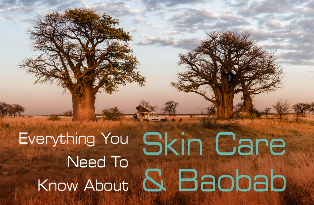 Everything You Need To Know About Skin Care And Baobab