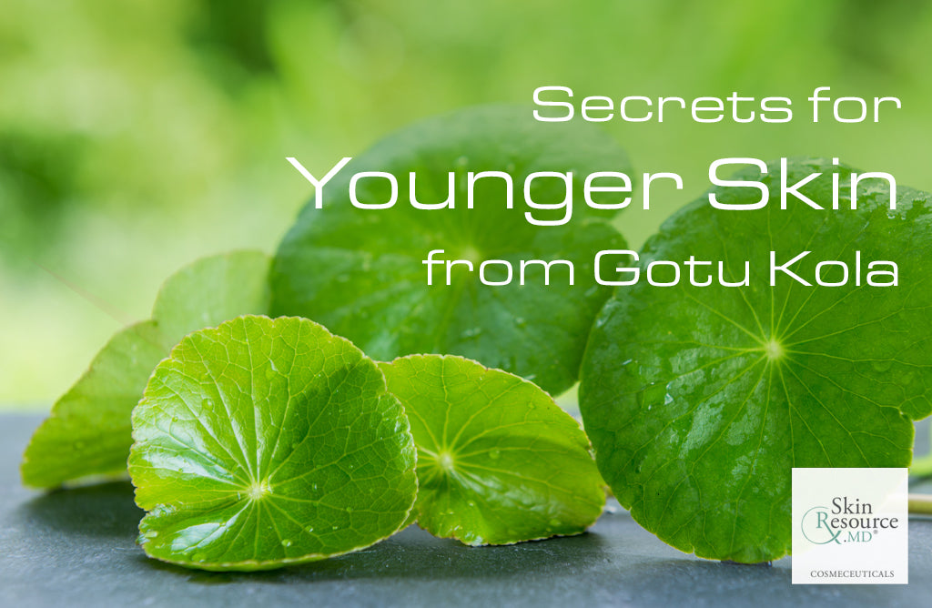 Secrets for Younger Skin from Gotu Kola